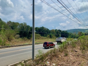 Agricultural Lot Along the National Highway, Balaoan, La Union